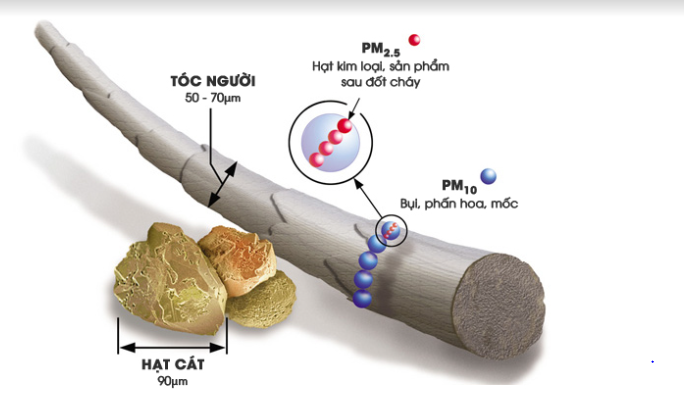 So sánh kích thước bụi mịn PM2.5 và tóc
